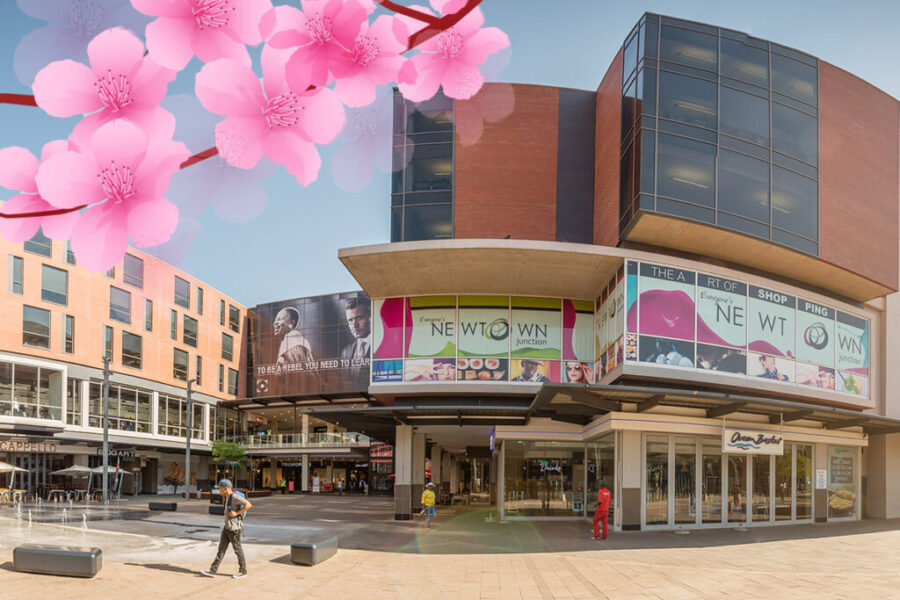 10 reasons to head to Newtown Junction