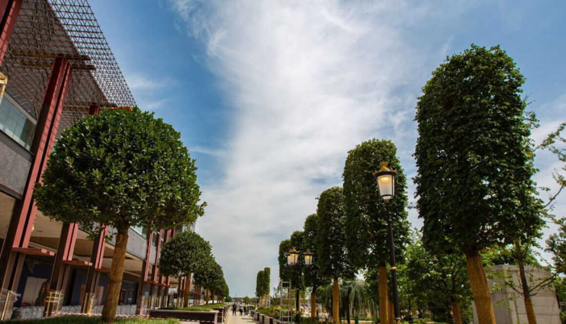 Iulius Town Timisoara 3